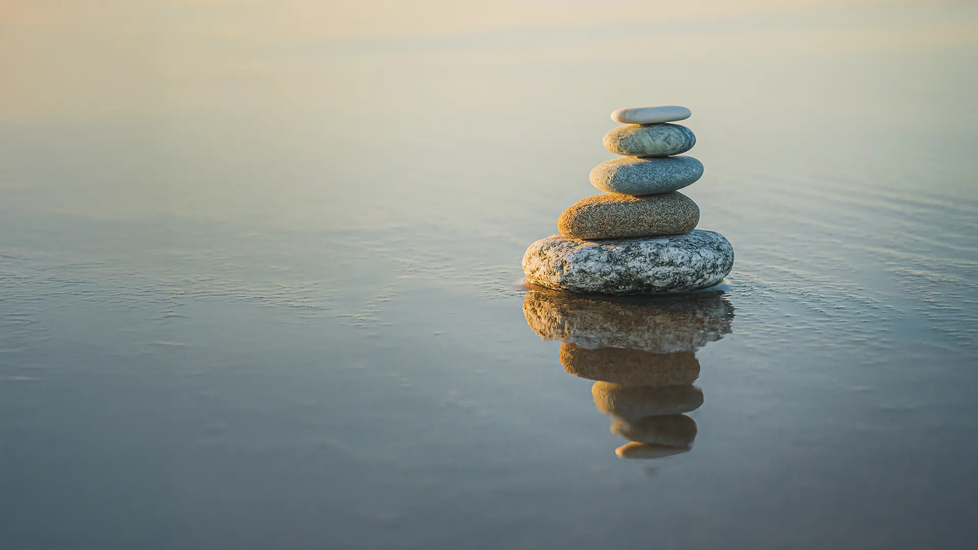 Work-Life Balance Is Not a Myth: The Executive Guide to Sustainable Success